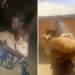 ‘Notorious’ goat thief nabbed in Jos community