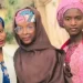 Terrorists free Zamfara ex-Accountant General’s children after five months
