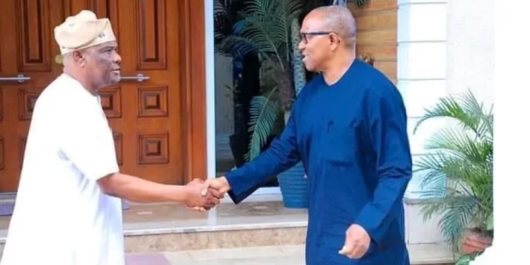 Presidency: Real reason I promised to support Peter Obi – Wike