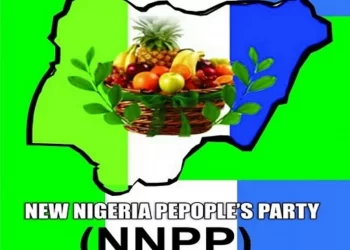 Niger NNPP Deputy Governorship Candidate dumps Party 