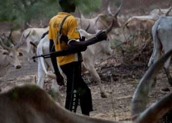 Tension in Ogun Communities as  herdsmen threaten attack (Photo)