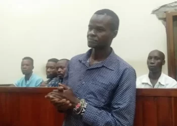 Man pleads guilty to charges of threatening to poison his mother