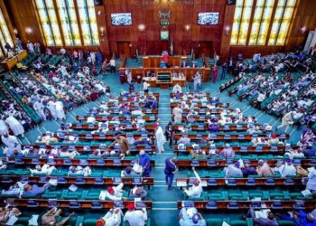 Reps committee rejects CBN deadline extension on old naira notes, says it’s ‘not the solution’ 