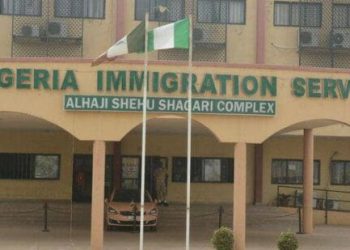 Immigration begins recruitment for artisans, doctors, pharmacists