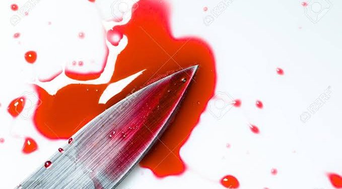 Woman Stabs Husband To Death, Cuts Off manhood 