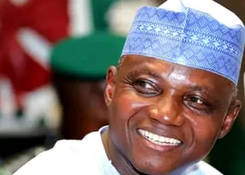 Those accusing Buhari of plotting interim govt, afraid of losing elections — Presidency
