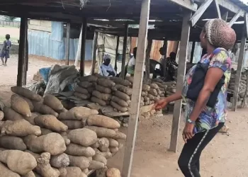 Cash crunch: Benue traders resort to trade by barter