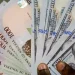 FX: Travellers, Stakeholders Groan Over BTA/PTA Cut