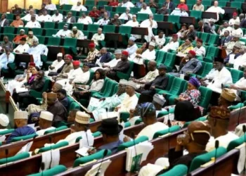 Naira scarcity: Reps want overhaul of online banking system