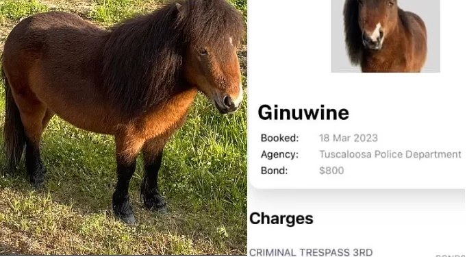 Police charge horse with criminal trespassing, resisting arrest’ after two-hour pursuit