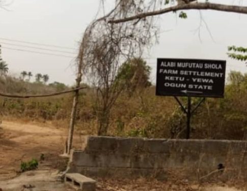 Fulani Herdsmen attack Farmer in Ogun, Kill One, Abduct Two, destroy farmland