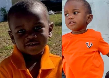 Father arrested after missing 2-year-old boy was found dead inside alligator’s mouth