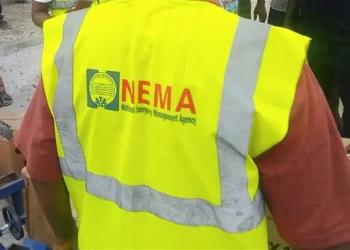 FG seeking appropriate opportunity to evacuate Nigerians in Sudan – NEMA