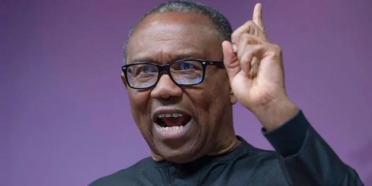 Nobody can force me to leave Nigeria – Peter Obi