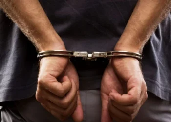 Butcher stabs wife to death in Delta
