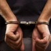 Butcher stabs wife to death in Delta