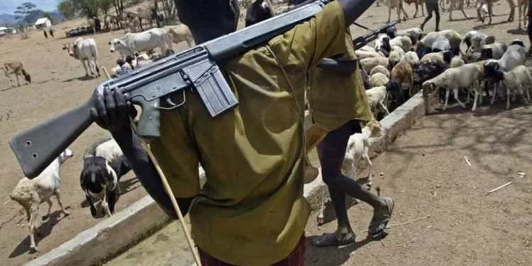 Herdsmen murder Labour Party Chairman in Benue