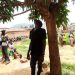 Middle-aged man found dead under Mango tree in Ekiti