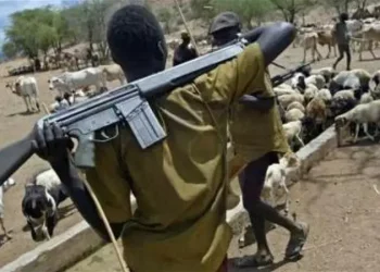Couple, only child, 7 others killed in fresh herders attacks in Benue