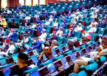 Reps Back Tinubu On Subsidy Removal, Seek Nigerians’ Patience 