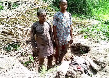 Ogun Amotekun nabs two over murder of Fulani herder 
