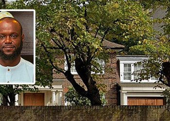 Seyi Tinubu’s Firm Bought $10.8m Corruption-Linked London Mansion – Bloomberg Report