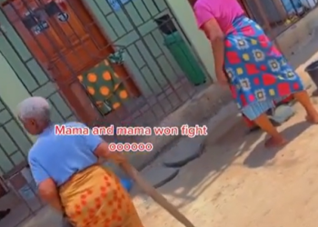 Two grannies accuse each other of being witches during a heated exchange (video)