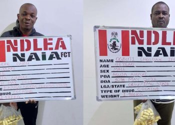 After spending three days in NDLEA custody,  two businessmen excrete 193 cocaine pellets