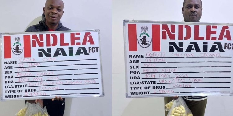 After spending three days in NDLEA custody,  two businessmen excrete 193 cocaine pellets