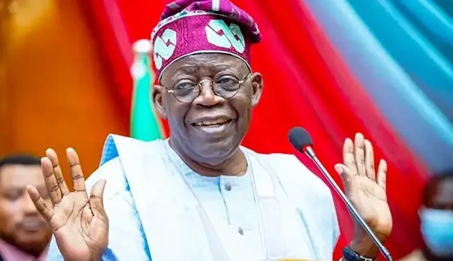 25% FCT votes: Court orders lawyer to pay N20m over ‘frivolous’ suit against Tinubu