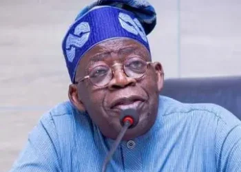 Steer clear of more borrowing, DMO cautions FG