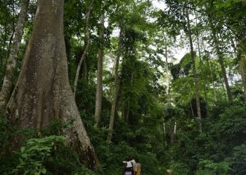 Climate Change: Ogun Plans To Collaborate With Tertiary Institution
