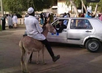 Fuel subsidy: Varsity student reportedly arrives at the campus on a donkey as transport fares skyrocket