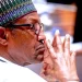Niger coup: I’m shocked, but happy Tinubu’s already handling it – Buhari