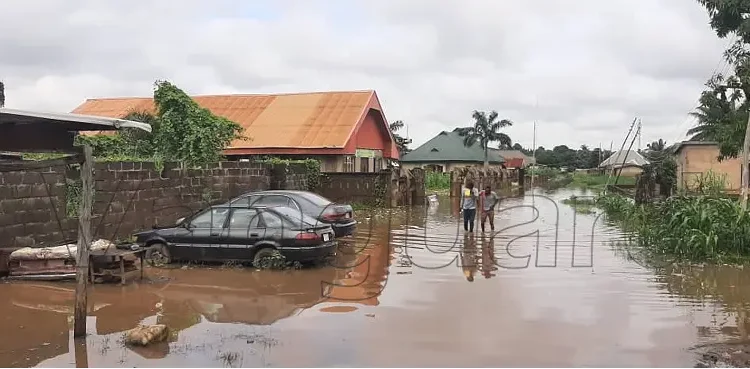 FG issues flood alert, says 14 states may record heavy rainfall