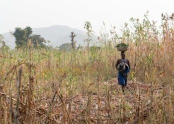 Nigeria faces catastrophic food insecurity on accelerating inflation …progress on reducing malnutrition stalled globally