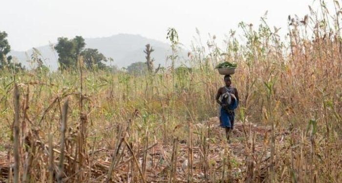 Nigeria faces catastrophic food insecurity on accelerating inflation …progress on reducing malnutrition stalled globally