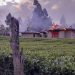 Woman kills man for defiling her 3-year-old daughter