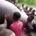 Youths kill ‘monster’ Hippopotamus terrorising Benue waterways 
