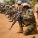 ECOWAS activates ‘standby force’, orders enforcement of sanctions against Niger junta