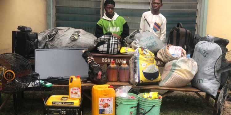Two steal turkey, rice, palm oil, other foodstuffs in Ogun