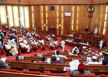 Niger Coup: Senate Urges Tinubu, ECOWAS To Exhaust All Options