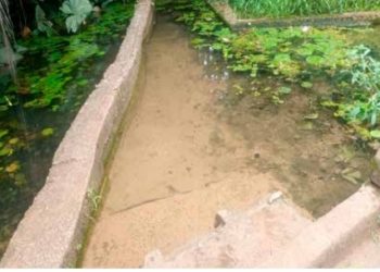 Mbiabet Ikot Udo: Nigerian community which forbids mothers of twins, menstruating women