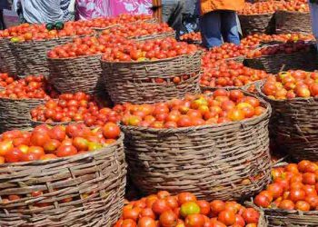 FG to remove taxes on tomatoes, raw food items – JTB chair