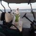 Golf cart driven by a dog runs over four-year-old girl in bizarre accident
