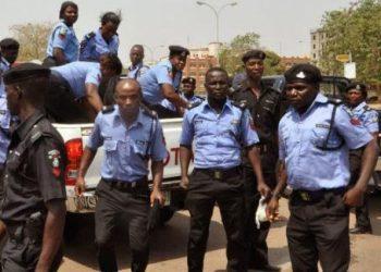 Police nab 94-year-old herbalist for defiling minor in Adamawa