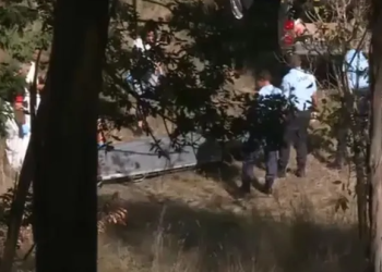 Man stabbed to death while playing Blue Whale suicide game