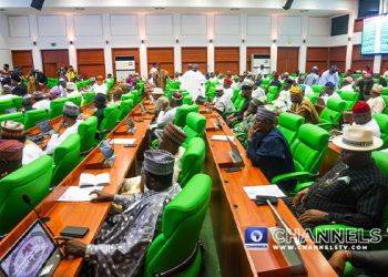 Reps Reject Claim Lawmakers Got N100m Palliative Each, Say ‘NLC Lied’