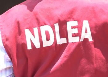 Baby Factory: NDLEA Rescues Five Pregnant Teenagers In Imo