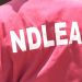 Baby Factory: NDLEA Rescues Five Pregnant Teenagers In Imo